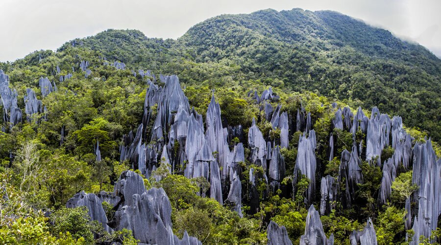 Mulu Caves