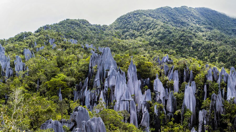 Gunung Mulu National Park